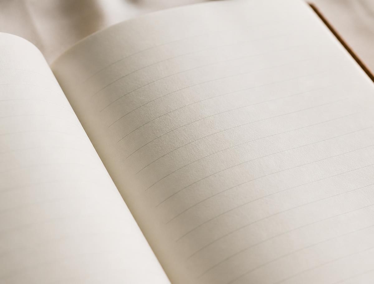 A close view of the journal's ruled writing pages